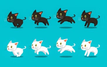 Animationsskizzen - schwarze und weiße Katze