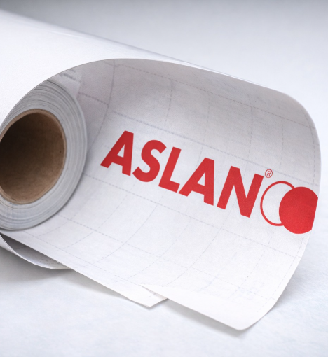 ASLAN, Schwarz GmbH & Co KG
